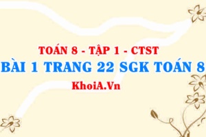 Bài 1 trang 22 SGK Toán 8 Tập 1 Chân trời sáng tạo